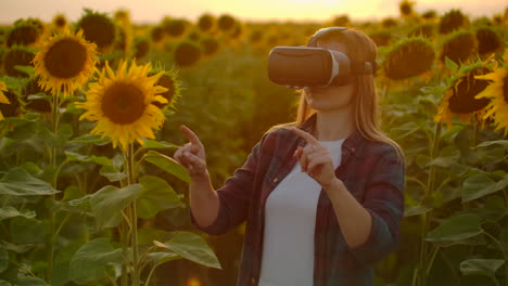 The-female-scientist-with-long-hair-in-plaid-shirt-and-jeans-is-working-in-VR-glasses.-She-is-engaged-in-the-working-process.-It-is-a-great-sunny-evening-in-the-sunflower-field-at-sunset.
